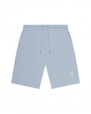 Trapstar Foundation Men's Shorts Light Blue USA | 96WQLNSHO