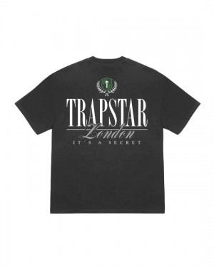 Trapstar Ts Crest 2.0 Men's T-Shirts Grey USA | 06DNFUEQS